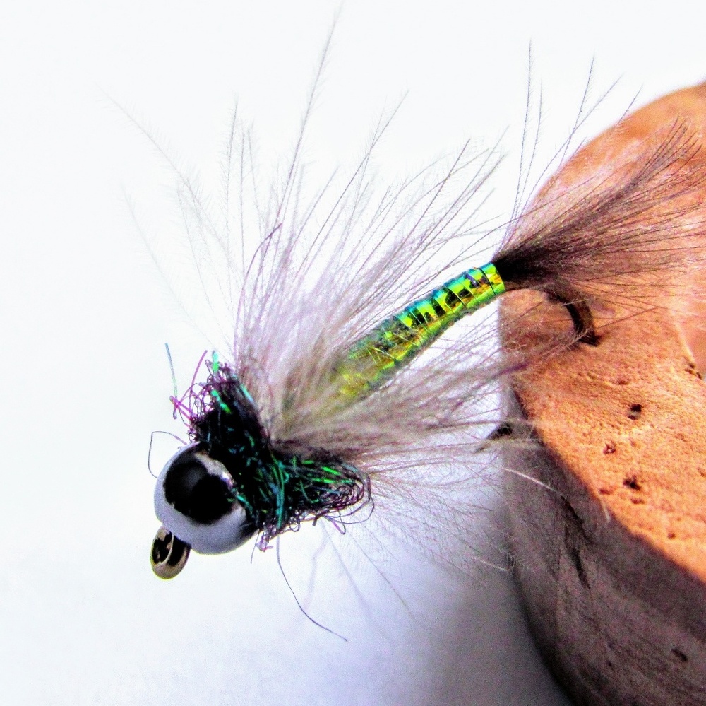 Meet your Posher, Teale